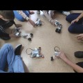 Warsztaty w ramach Robotyka baw się i buduj 